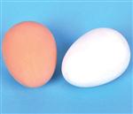 BAEGG54 Egg Bounce Ball